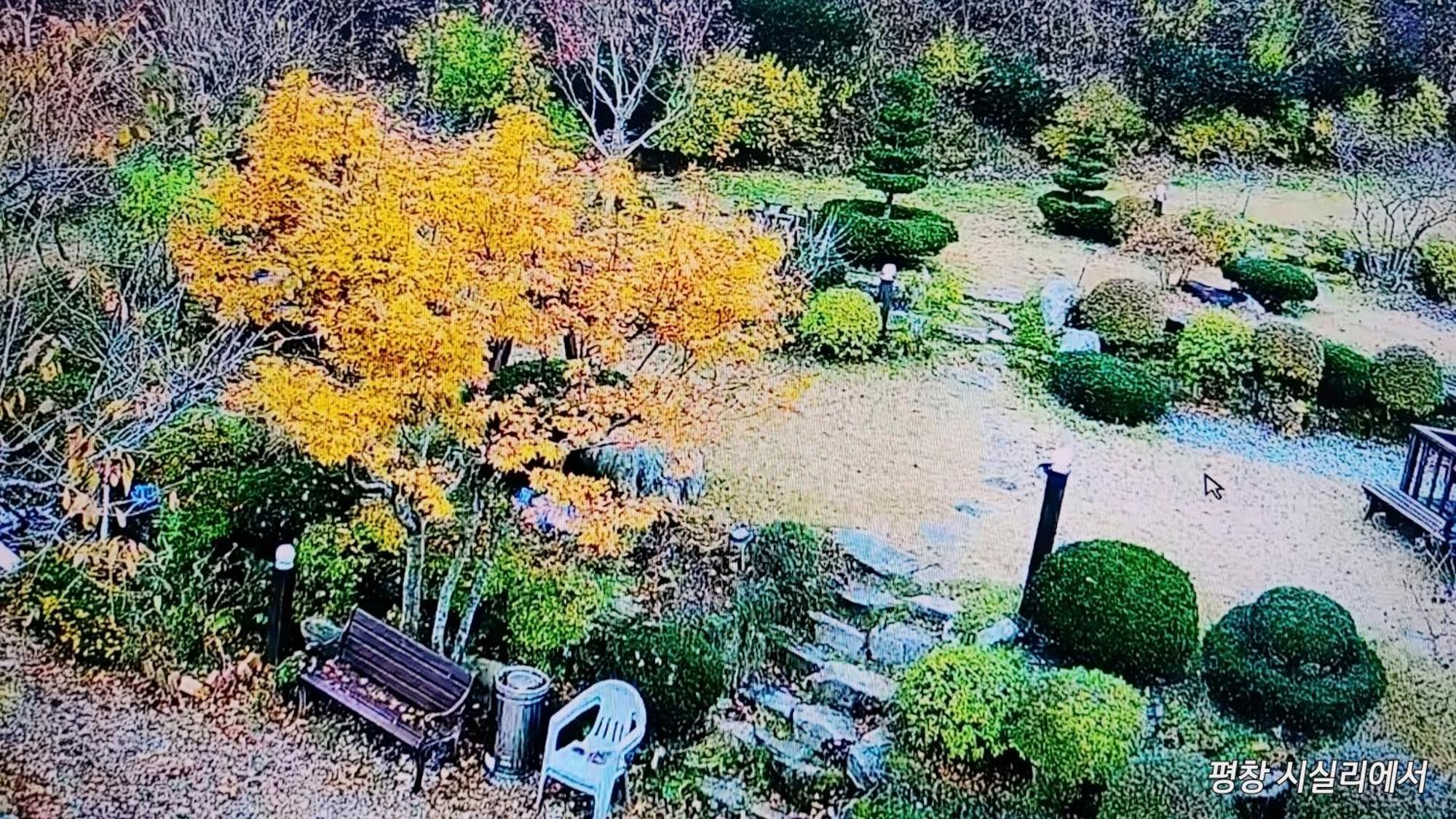 Sisilli Pension Pyeongchang Dış mekan fotoğraf